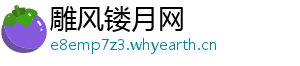 雕风镂月网